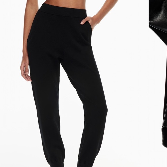 Aritzia rodin knit joggers - Picture 4 of 13